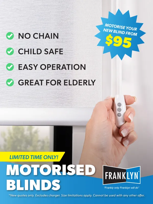 Franklyn Motorised Wand Promo